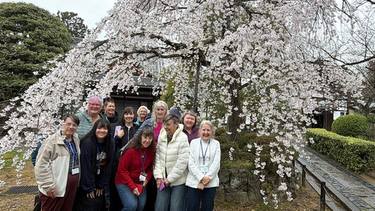 Cherry Blossoms: The Best Week & The Best Sashiko Masterclass! |21-27 March 2027